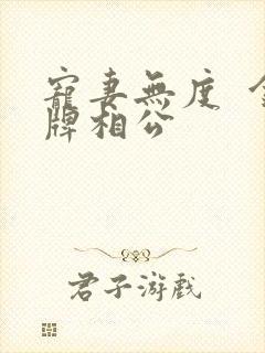 宠妻无度  金牌相公