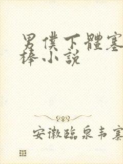 男仆下体塞震动棒小说