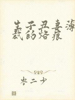 生子丑妻薄情总裁的烙痕