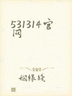 531314官网