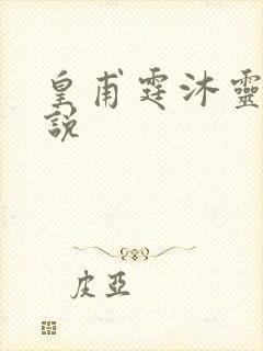 皇甫霆沐灵芸小说