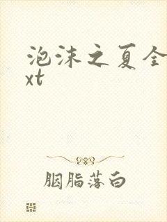 泡沫之夏全集txt