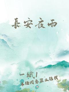 长安夜雨