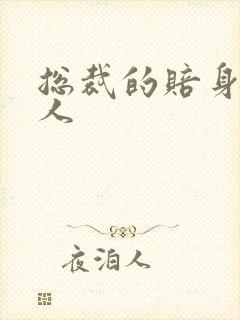 总裁的赔身小情人