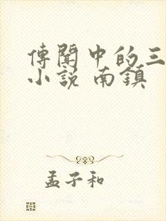 传闻中的三公主小说 南镇