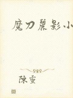 魔刀丽影小说