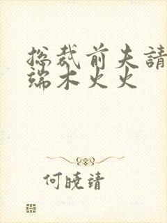 总裁前夫请自重端木火火