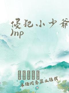侵犯小少爷(H)np