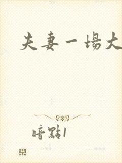 夫妻一场大结局