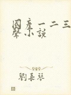 国产一二三区有声小说