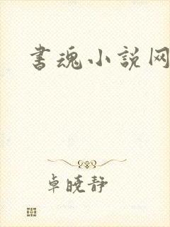 书魂小说网