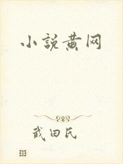 小说黄网