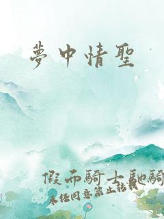 梦中情圣