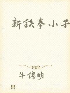 新铁拳小子