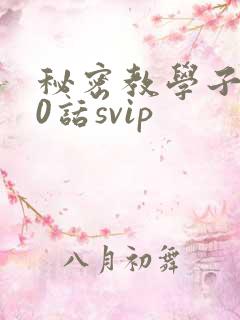 秘密教学子豪60话svip