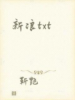 新浪txt
