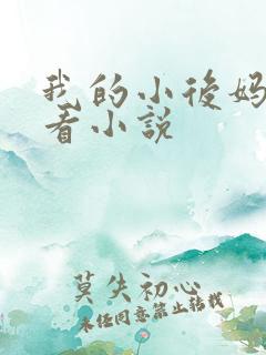 我的小后妈免费看小说