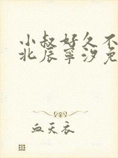 小叔好久不见顾北辰宁汐免费阅读