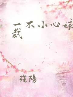 一不小心嫁给总裁