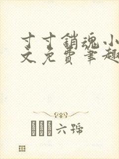 寸寸销魂小说全文免费笔趣阁