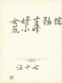 女婿有劲枪枪到底小峰