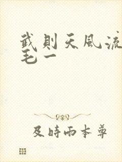 武则天风流艳情毛一