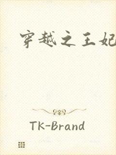 穿越之王妃有孕