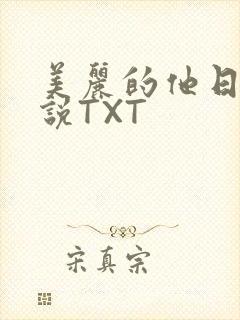 美丽的他日剧小说TXT