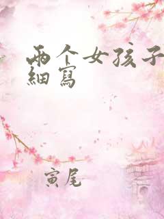 两个女孩子开车细写