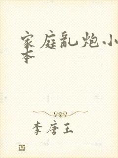 家庭乱炮小说全本