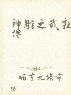 神雕之武敦儒大传