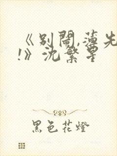 《别闹,薄先生!》沈繁星