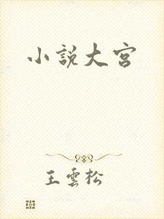 小说大宫