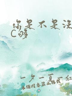 你是不是没有被C够