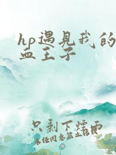 hp遇见我的混血王子