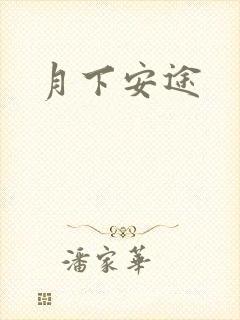 月下安途