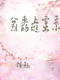 公车上雪柔被猛烈的进出小说