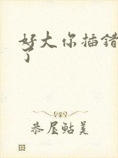 好大你插错地方了