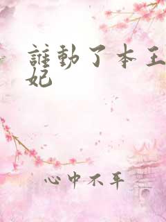 谁动了本王的悍妃