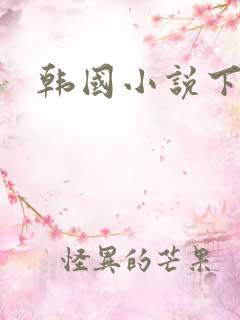 韩国小说下载