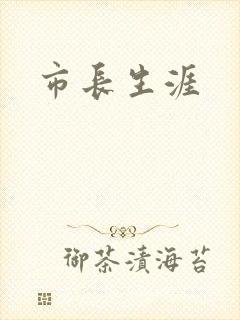 市长生涯
