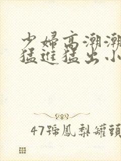 少妇高潮潮喷到猛进猛出小说