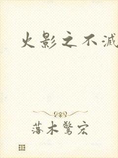 火影之不灭传说