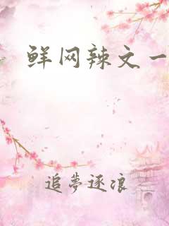 鲜网辣文一对一
