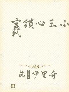 宫锁心玉小说下载