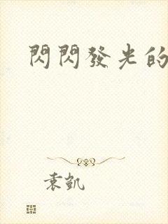 闪闪发光的大人