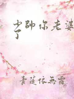 少帅你老婆又跑了