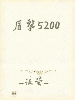 盾击5200