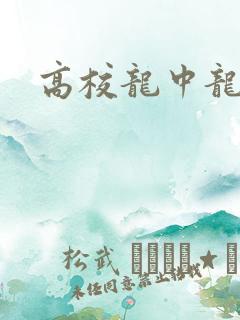 高校龙中龙全集