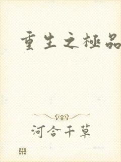 重生之极品大鳄